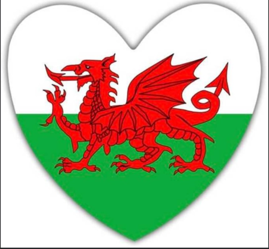 The Welsh flag. Strident red dragon. Green and white background. Cropped in the shape of a heart.